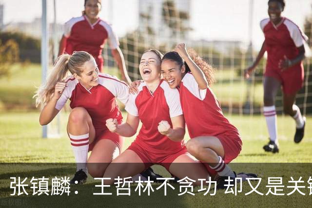 张镇麟：王哲林不贪功 却又是关键时刻能站出来的人 队长当之无愧